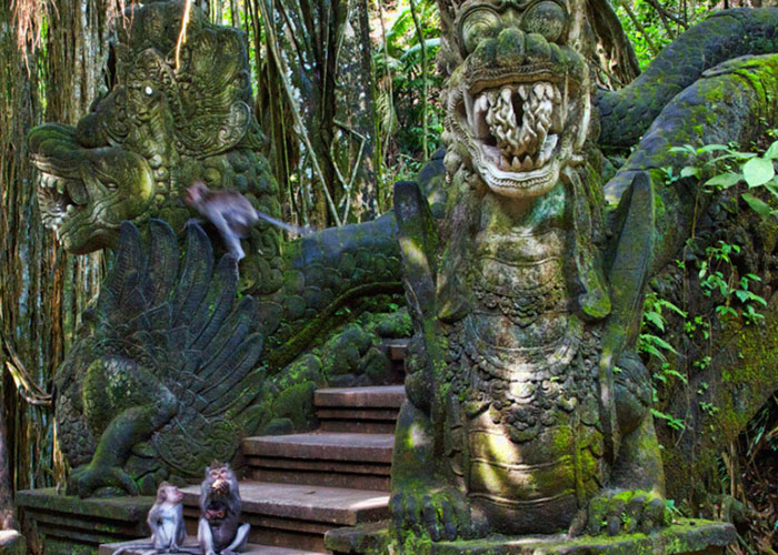 Bali Wellness Monkey Forest