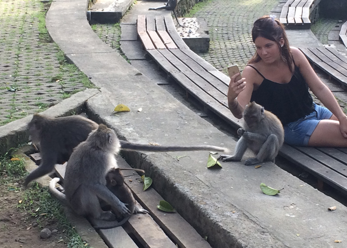 Get Close With Monkeys