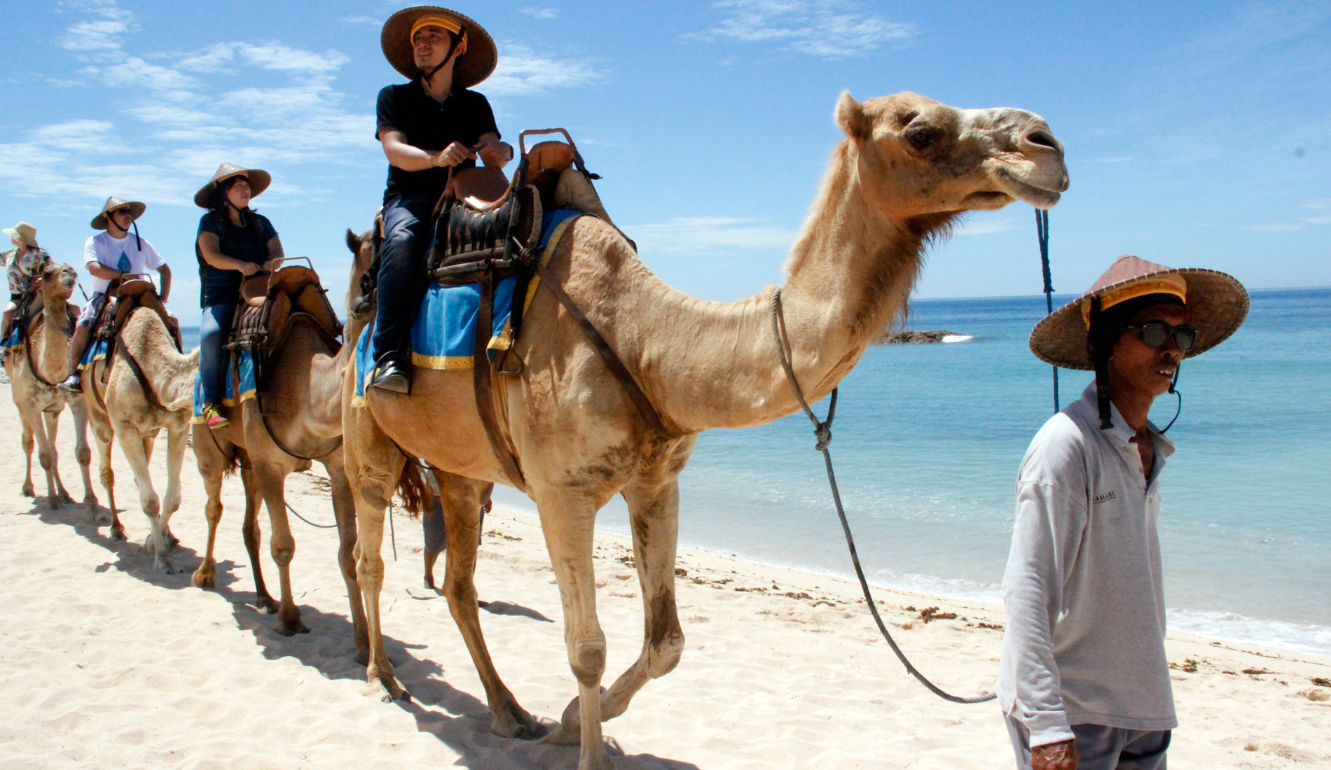 Bali Camel Tour - Bali Private Transport and Tour in Bali