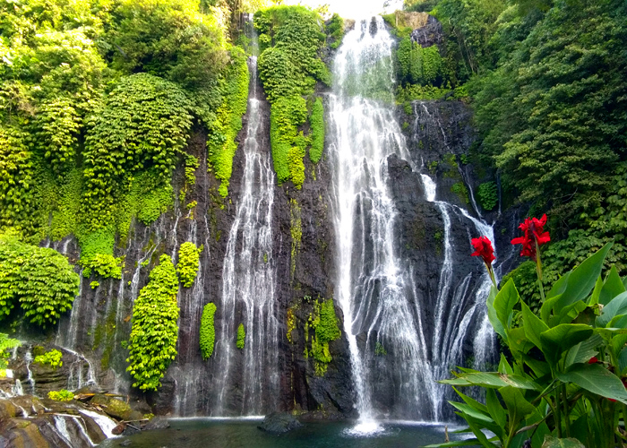Banyumala Waterfall Bali - Full Day Tours in Bali